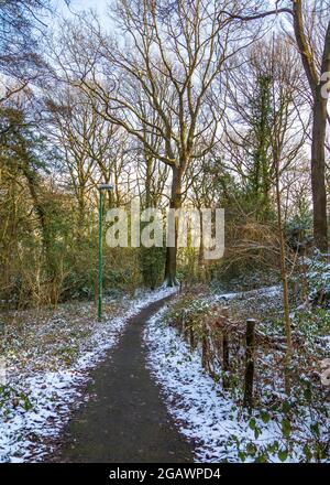 Southcrest Wood à Redditch, Worcestershire pendant l'hiver. Banque D'Images