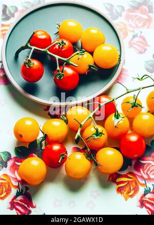 Tomates mûres sur la vigne – blanc FOOPPIX - COPYSPACE Banque D'Images