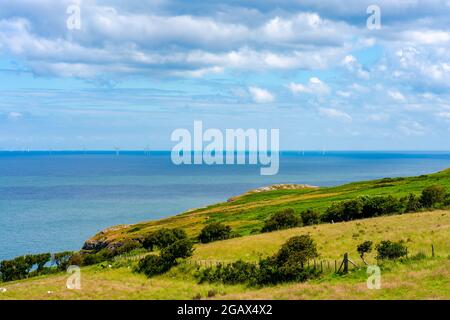 Magnifique paysage sur le promontoire de Great Orme avec vue lointaine sur le parc éolien offshore de Gwynt-y-Mor, Llandudno, pays de Galles Banque D'Images