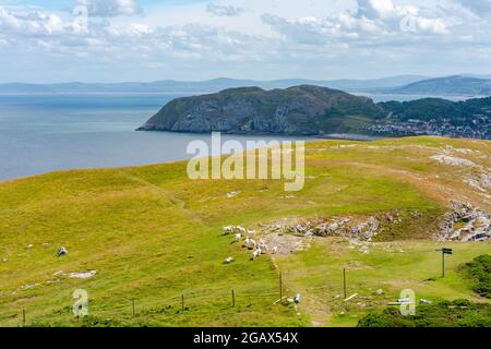 Vue depuis le promontoire de Great Orme, Llandudno, pays de Galles Banque D'Images