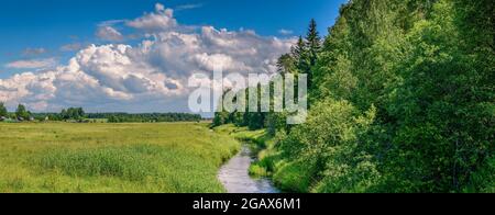 Une chaude journée d'été sur la prairie verte près de la rivière au bord de la forêt. Les nuages de pluie s'accumulent à l'horizon. Banque D'Images