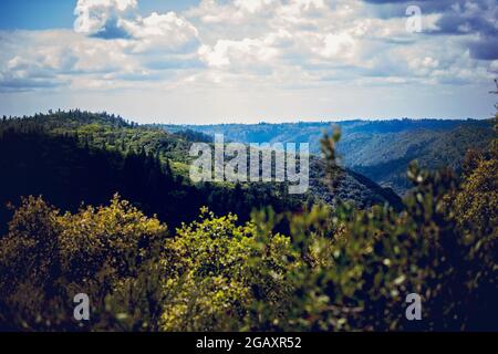 Foresthill Divide Trail Banque D'Images