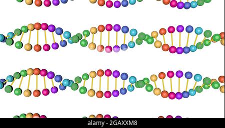 les vidéos de test de l'ADN couleur animées en 3d sont isolées sur fond blanc pour le montage vidéo et les formations médicales. Image de haute qualité Banque D'Images