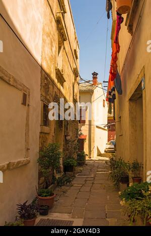 Une route résidentielle dans le village médiéval historique de Buje, en Istrie, Croatie Banque D'Images