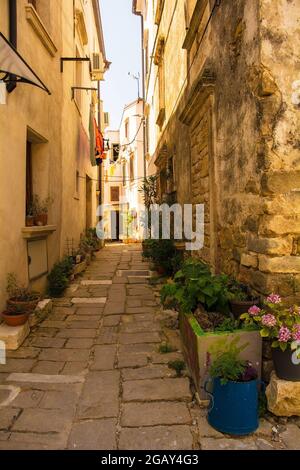 Une route résidentielle dans le village médiéval historique de Buje, en Istrie, Croatie Banque D'Images