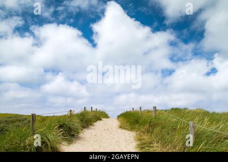 Chemin dans les dunes du parc national de Texel Banque D'Images