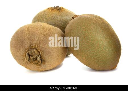 Trois kiwis gros plan, fruits isolés sur fond blanc Banque D'Images