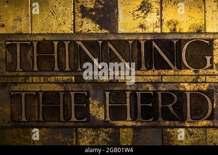 Éclaircie le texte de Herd formé de véritables lettres de composition authentiques sur fond de cuivre et d'or texturé vintage argent Banque D'Images