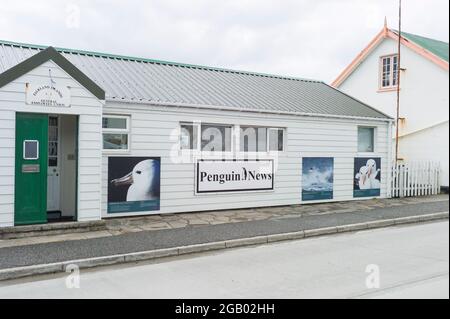 Bureau de nouvelles des pingouins, port stanley, îles falkland Banque D'Images