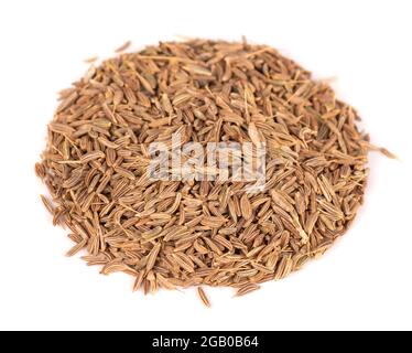 Graines de caraway isolées sur fond blanc. Pile de cumin ou d'épice au carvi. Banque D'Images