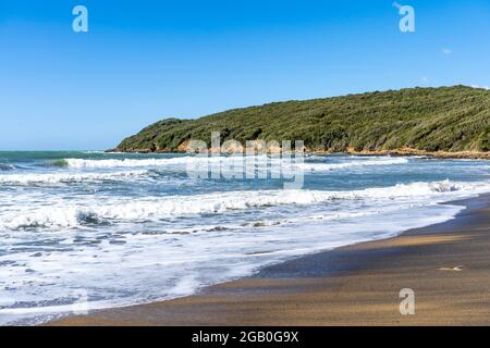 La plage de sable du golfe de Baratti, dans la municipalité de Piombino, le long de la côte étrusque, province de Livourne, Toscane, Italie Banque D'Images