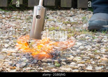 Utilisation d'un brûleur à flamme pour brûler les mauvaises herbes sur un chemin de gravier Banque D'Images