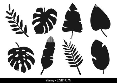 Ensemble de silhouette noire abstraite de feuilles tropicales isolé sur fond blanc. Monstera de différents types, banane, autres plantes de la jungle. Collection pour le design. Éléments de décoration. Illustration vectorielle Illustration de Vecteur