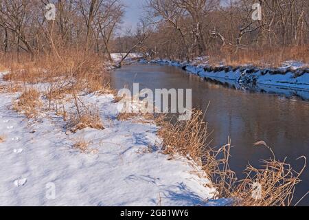 Ruisseau tranquille dans les bois d'hiver dans la réserve de Ned Brown dans l'Illinois Banque D'Images