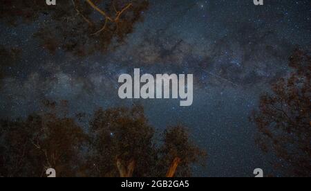 Milky Way , Warrumbungles Dark Sky Reserve centre-ouest NSW Australie Banque D'Images