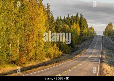 Autoroute dans la belle forêt d'automne en Finlande rurale Banque D'Images
