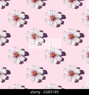 Motif tendance sans coutures en plein soleil, avec des fleurs délicates sur fond rose, comme toile de fond ou texture. Concept floral minimaliste. Fond d'écran pour vos des Banque D'Images