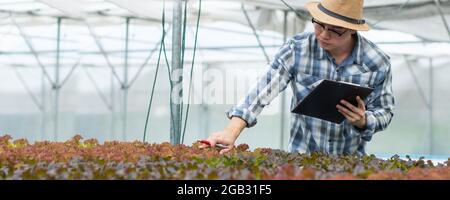 Gros plan fermier vérifiant le contrôle de la qualité de légume hydroponique biologique, thaï jardinier écrivant des informations de la croissance de plantation en serre pour banne Banque D'Images