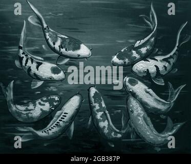 Peinture à l'huile de Fancy Carp photos de poissons Austiciousness , fortune Banque D'Images