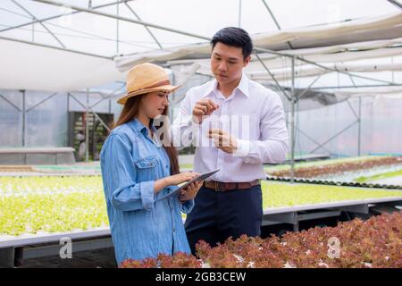 expert agricole présenter femme propriétaire de légumes hydroponique agriculteur vérifiant un bon équilibre de l'eau et de l'oxygène que la température, les nutriments, les lumières, p Banque D'Images