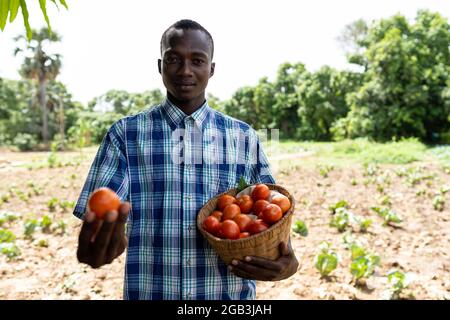 Dans cette image, un jeune agriculteur africain noir fier, dans une chemise à carreaux debout devant un champ, porte un panier de tomates fraîches Banque D'Images