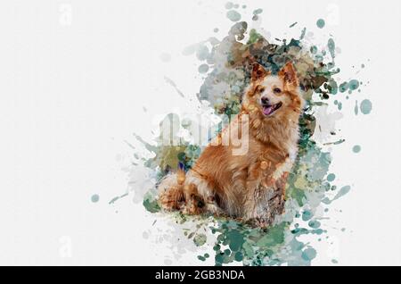 Aquarelle numérique. Portrait d'un chien assis à cheveux longs et à tête rouge. Femelle adulte de race mixte avec bouche et langue ouvertes Banque D'Images