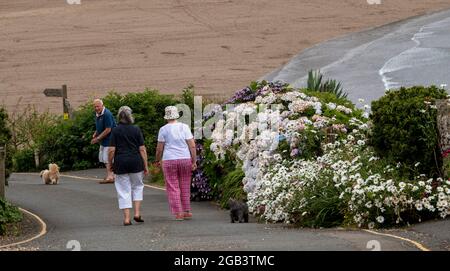 Bigbury on Sea, South Devon, Angleterre, Royaume-Uni. 2021. Marcheurs pour chiens sur le sentier côtier de Bigbury on Sea dans le sud du Devon avec une vue sur une plage Banque D'Images