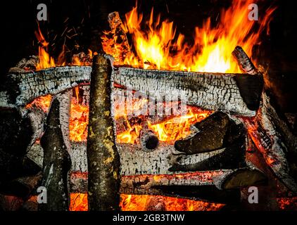 Bois de chauffage, feu de près. Feu de bois à l'extérieur. Feu avec briques sur pique-nique. Bois de chauffage de bouleau. Langues de flammes. Banque D'Images