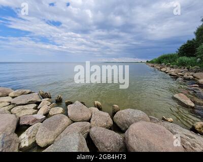 La côte de la lagune de Curonian avec de hautes roseaux verts et un brise-lames en pierre et des mouettes lors d'une journée ensoleillée d'été Banque D'Images