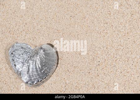 Vue de dessus de la forme de coeur couleur argent seashell sur fond de sable avec espace de copie Banque D'Images