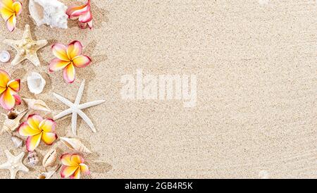 Frangipani tropical Ffower, plumeria et coquillages, étoiles de mer sur fond de sable, vue de dessus, espace copie Banque D'Images