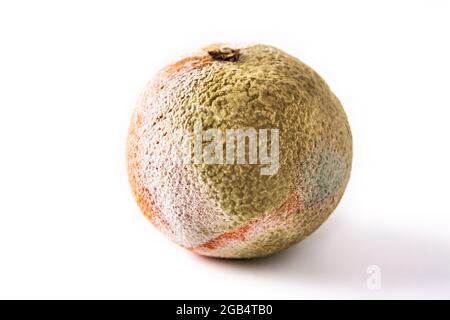 La pourriture des fruits orange isolé sur fond blanc Banque D'Images