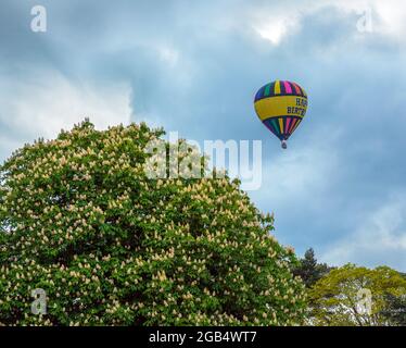 Montgolfière au-dessus des Chiltern Hills Banque D'Images