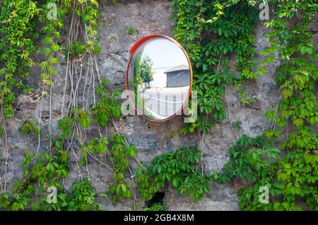 Miroir de la courbe de trafic sur un mur couvert de lierre, concept de sécurité et de sécurité de la circulation. Miroir convexe dans la rue pour une meilleure visibilité. Banque D'Images