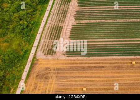 Vue aérienne d'un morceau d'arbre, d'un champ avec des oignons et d'un champ après récolte avec des balles de foin Banque D'Images
