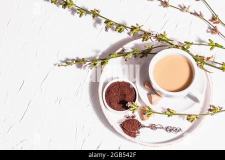 Café chicoré aux fleurs fraîches et à la poudre. Boisson naturelle sans caféine dans une tasse blanche. Alternative de remplacement pour le café, la caféine. Plâtre blanc Banque D'Images