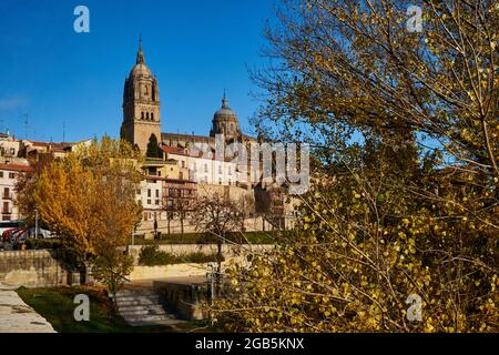 Cathédrale de Salamanque depuis le pont romain. Espagne Banque D'Images