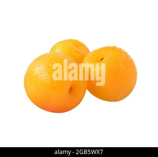 Trois prunes de cerise jaune avec gouttes d'eau isolées sur un fond blanc Banque D'Images