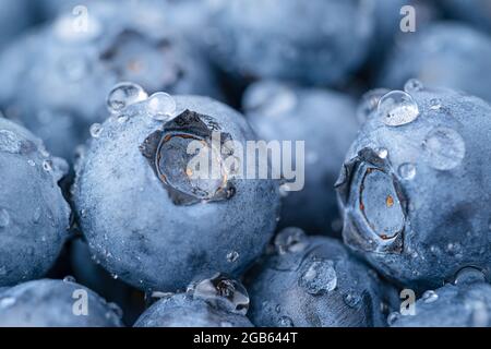 Photo macro de bleuets avec gouttes d'eau. Fond de fruit Banque D'Images