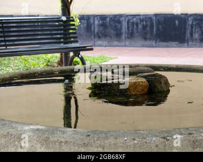 gros plan sur une fontaine de poisson rouge relaxante dans un parc public Banque D'Images