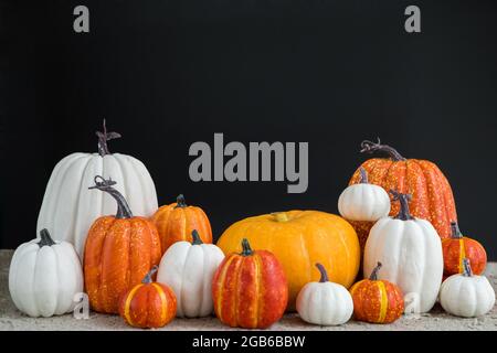 Composition de citrouilles fraîches de différentes tailles et couleurs placées sur la table le jour d'Halloween sur fond noir Banque D'Images