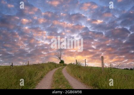 Sentier de randonnée de longue distance Bergischer Panoramasteig, Bergisches Land, Allemagne Banque D'Images