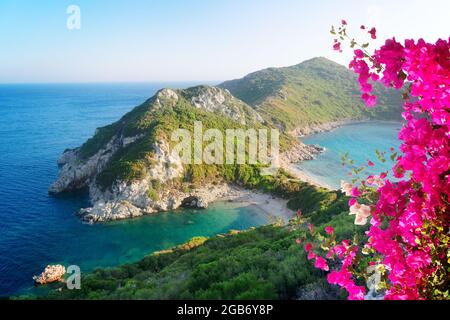 Plage de Timoni et mer Ionienne sur Korfu, Grèce avec des fleurs Banque D'Images