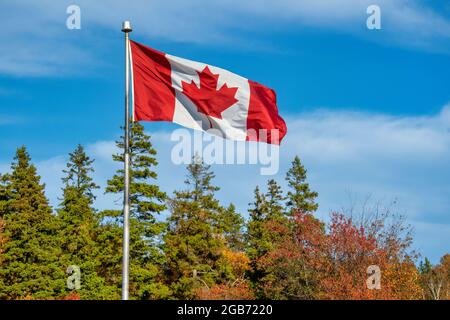 Drapeau canadien volant dans un vent vif au-dessus d'un paysage d'automne. Banque D'Images