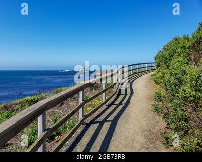 Vue sur l'océan depuis le sentier elephant Seal vista près de San Simeon sur la côte centrale de Californie, un sentier facile et joli pour la randonnée ou la marche. Banque D'Images