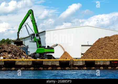Le chargeur de matériaux charge le bois dans l'emballage-présentoir à bois Banque D'Images