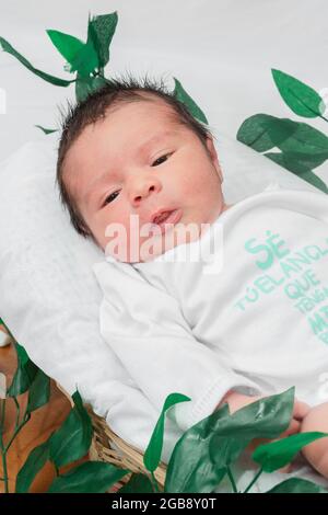 Beau bébé nouveau-né (4 jours), allongé avec ses yeux ouverts, en forme de vaisselle, dans un panier en fibre de bambou et entouré de feuilles vertes, Conc médical sain Banque D'Images