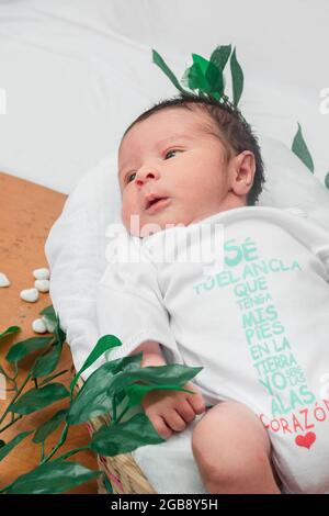 Beau bébé nouveau-né (4 jours), avec les yeux ouverts, vue de dessus, vue de dessus, dans un panier en fibre de bambou et entouré de feuilles vertes, santé c Banque D'Images