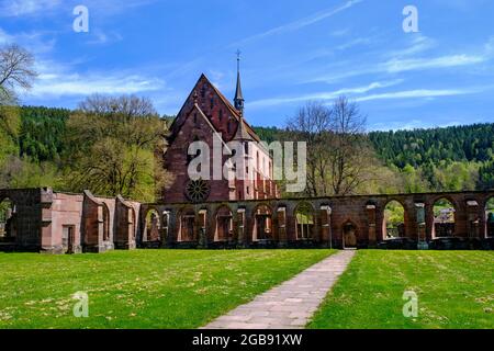 Monastère de Hirsau, ancien complexe de monastère de Saint-Pierre et Paul, roman, près de Calw, Forêt Noire, Bade-Wurtemberg, Allemagne Banque D'Images