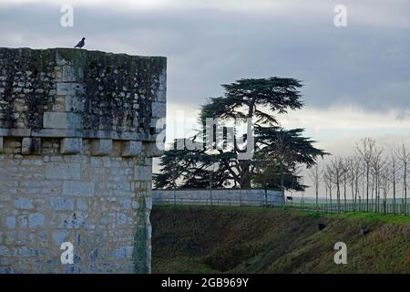 Mur de ville, remparts, ville médiévale de Provins, sur la liste du patrimoine mondial culturel et naturel de l'UNESCO depuis 2001, département de Seine-et-Marne Banque D'Images